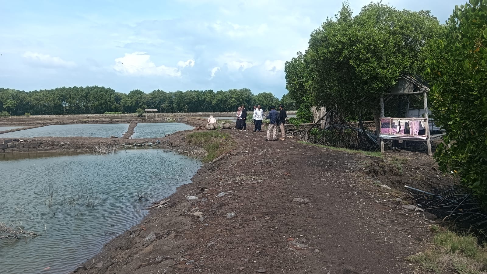 Tanah Tambak Kolam Ikan