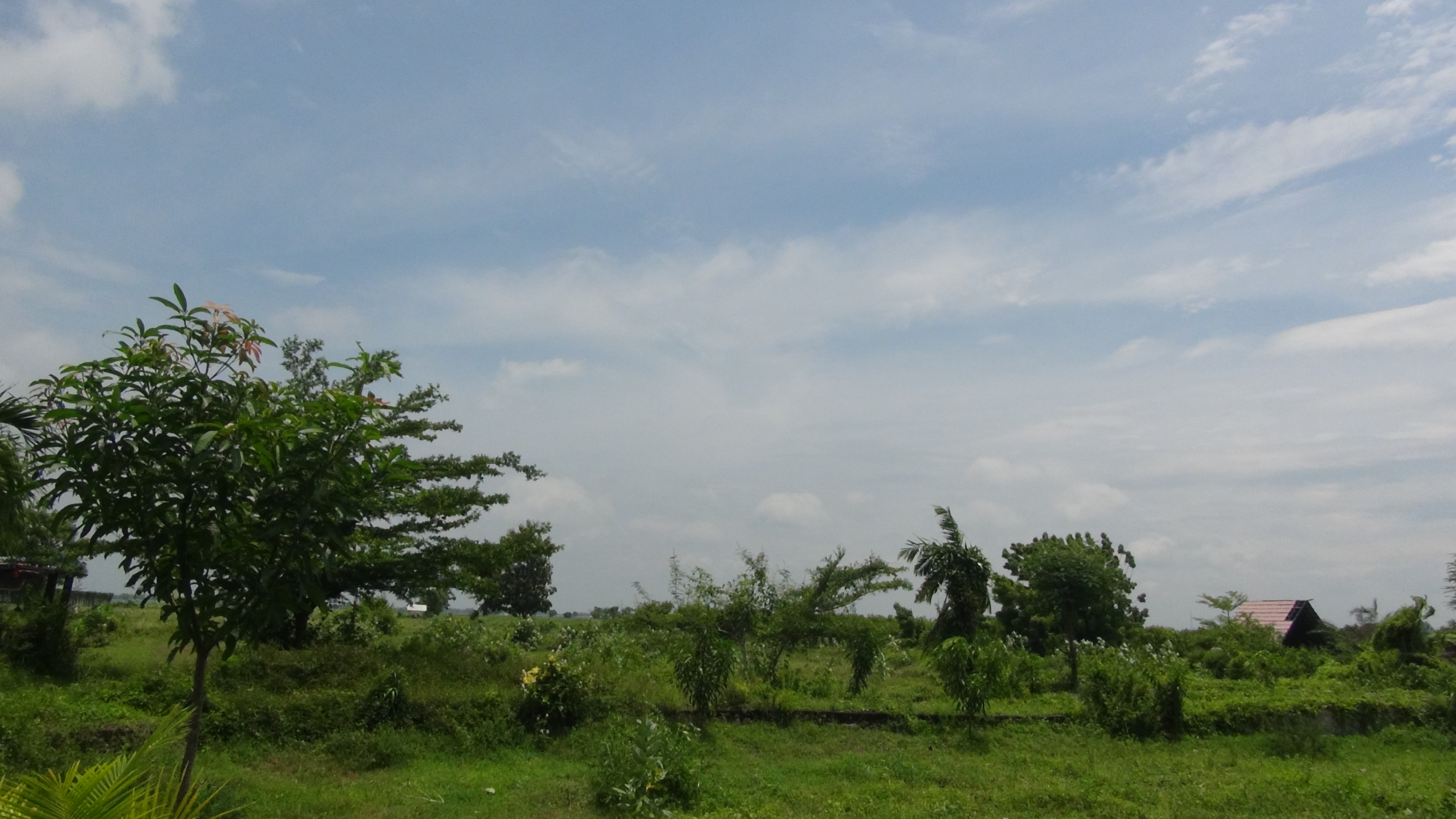 Tanah Kebun Benih & Teknologi Pertanian